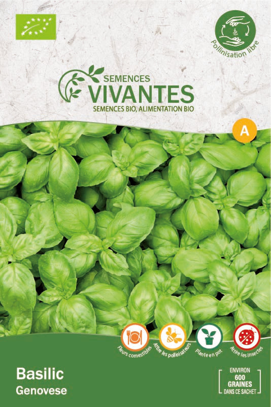 Semences Vivantes -- Basilic Genovese Bio - sachet de 600 graines